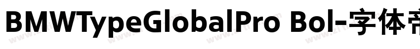 BMWTypeGlobalPro Bol字体转换